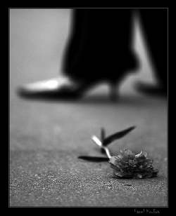 Доктор Беркова потврдува дека кај младите кои имале самоубиствен нагон станувало збор за обид да го свртат вниманието на семејството или на саканата личност